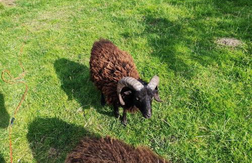 Seßles Waldhäuschen Dietzhausen - Photo 21