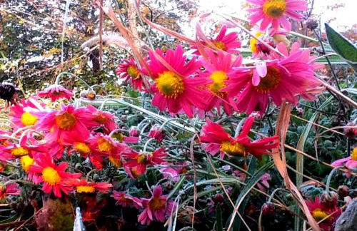 Play All Day - Sleep By The Stream at Night - Swimming Hole - Foto 22