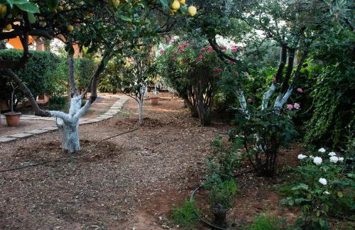 glarosmaisonette - Foto 32