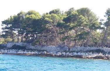 Apartman Bella vista - Foto 18