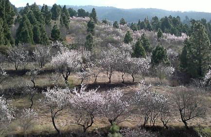 Apartamento El Almendro - Photo 24