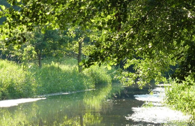 Spreewald - Pension Spreeaue - Foto 3