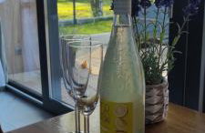 Kotlina Kłodzka Pod Brzozami - Foto 45