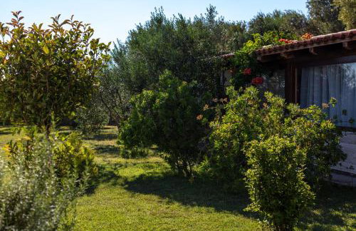 Villa Oliva - Photo 51