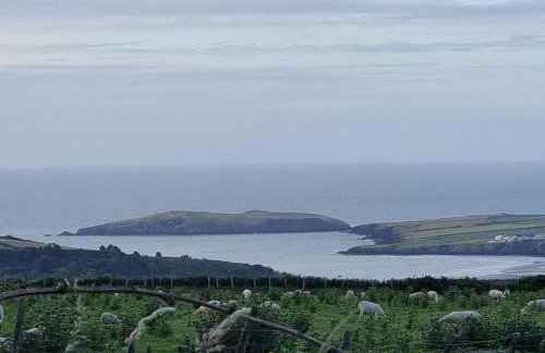 Cosy Cottage overlooking the Teifi Gorge - Foto 20