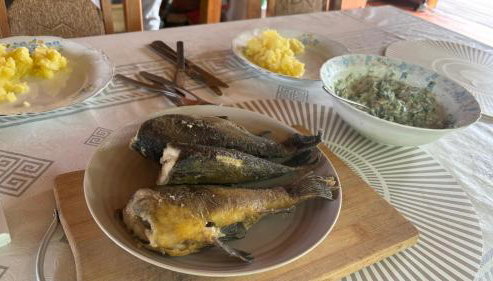 Słońce i Woda - 2 domki nad brzegiem jeziora Śniardwy z własnym pomostem, zejściem do wody i przecudnym widokiem na jezioro - Foto 4