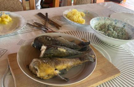Słońce i Woda - 2 domki nad brzegiem jeziora Śniardwy z własnym pomostem, zejściem do wody i przecudnym widokiem na jezioro - Foto 4