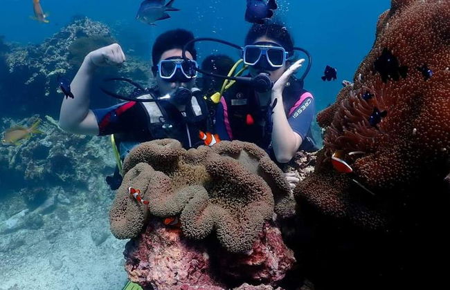 Plongée sous-marine à Boracay - Petit groupe - Photo 1