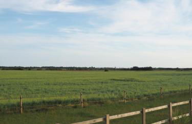 Barnham Court Farm - Photo 6