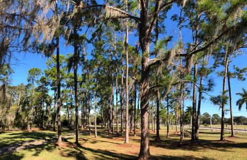 The Little Retreat, Solo, Couples & Small Families - Foto 21