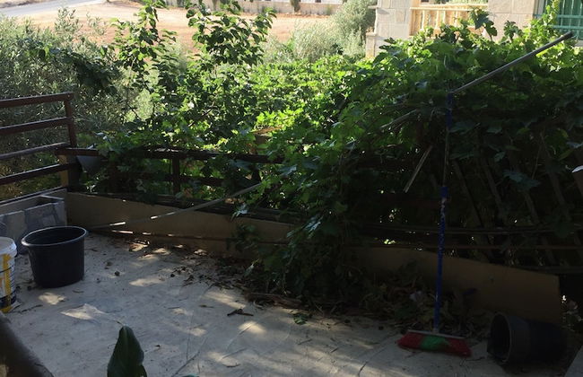 Atef Qassim - Foto 18