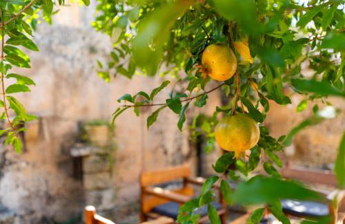 Antica corte dell'800 - Foto 20
