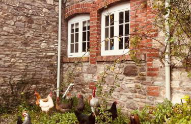 The Cottage - Foto 15