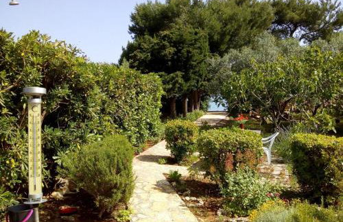 Apartment Brane - Photo 32