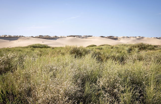 Caesarea Sea-Side Retreat by Sea N' Rent - Foto 61