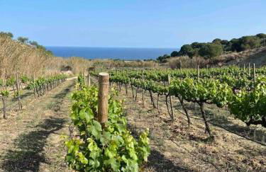 Casa familiar en la playa con piscina - Foto 52