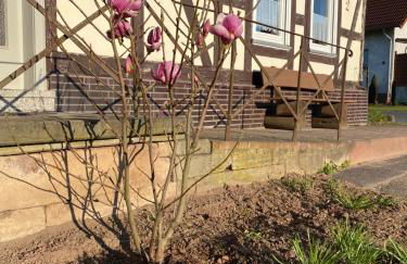 PferdeFairStand‘s Ferienwohnung - Foto 6