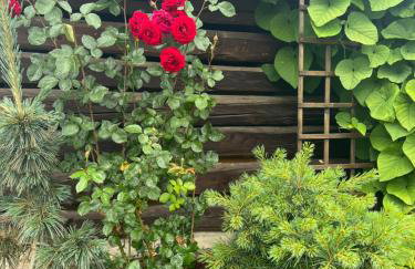 Malinowa Chatka - Foto 50