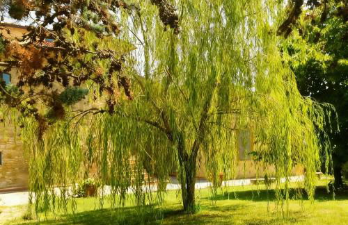 Teruzzi Country House - Foto 6