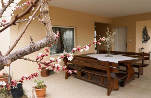 Dream Studios - Foto 10