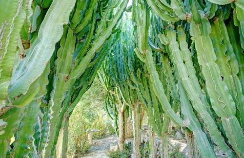 Holiday Home Villa Bea by Interhome - Foto 59