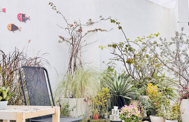 Cloudy Homestay Hoi An - Foto 65