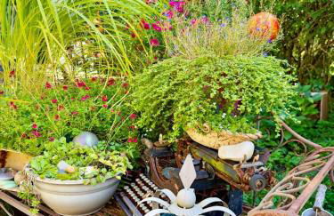 NEU! FeWo Annelieses Kemenate - Foto 18