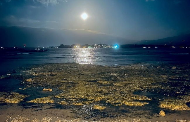 Villa Bulan Madu Gili Air - Photo 33