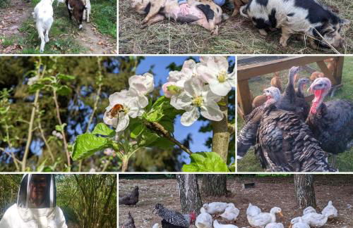 L'Angeberdière - Foto 31