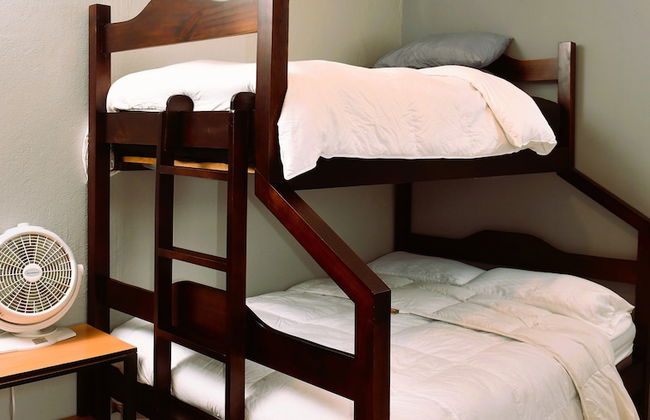 Papaya Dreams - Foto 3