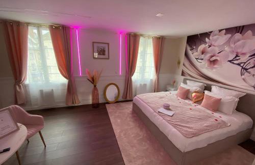 Cocon Diamant - Nuit Romantique - Jacuzzi et Sauna - Hyper-Centre - Foto 19