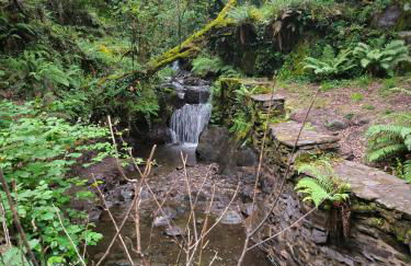 Cantinho do Talasnal - Foto 31