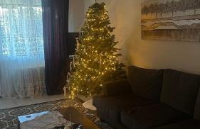 The classic house - Foto 1