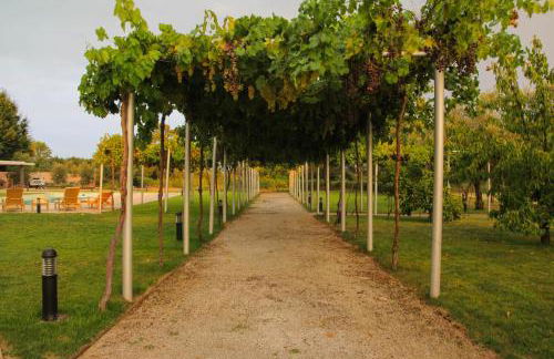 ARTS IN Country House - Foto 18