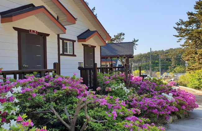 Haesol Maru Pension Taean - Foto 48