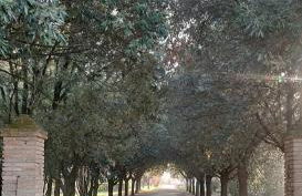 Tenuta del Viandante - Foto 54