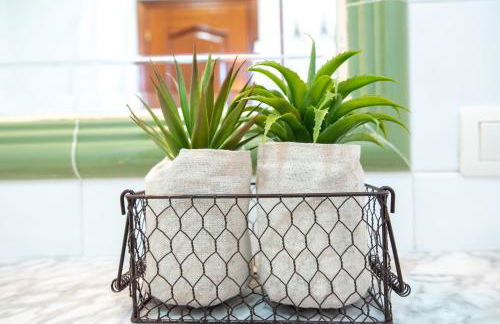 LAR DA REVOLTA - Foto 65