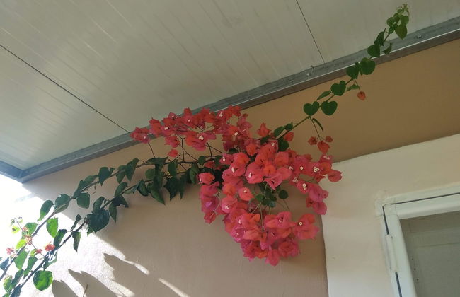 Villa Lou Corfu - Kalivioti Beach - Photo 37