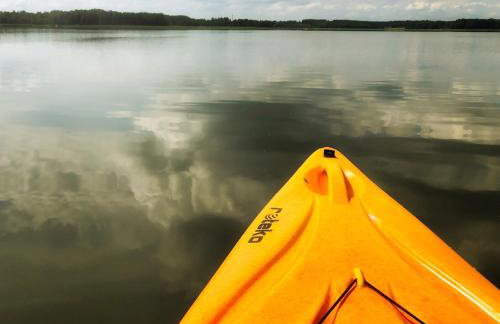 Nature Home Rybical - Foto 46