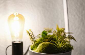 Perfect for 5 Guests - Netflix - Parking - Duisburg - Smart Home - Photo 33