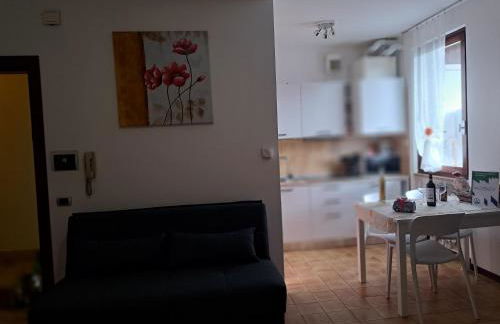 Blu Armony - Foto 11