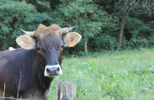 Agriturismo BioBiò - Photo 32