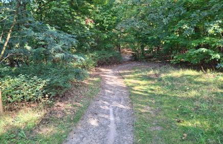 Kleines Haus am Wald - Foto 18