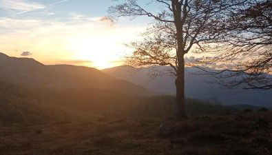Zabala, entrañable y auténtica casa de pueblo en Anguiano - Foto 2