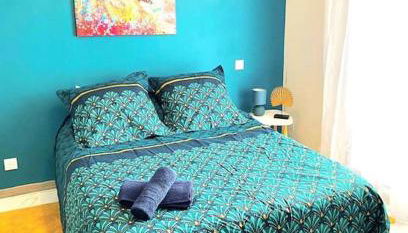 Toulouse vaste appartement très lumineux - Foto 5