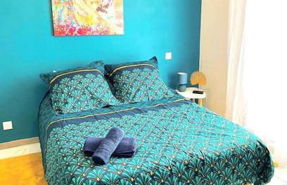 Toulouse vaste appartement très lumineux - Photo 5