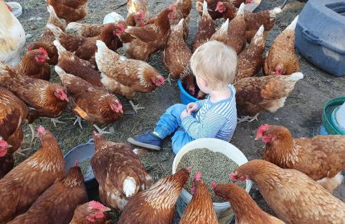 Biohof Neihausmo - Foto 29