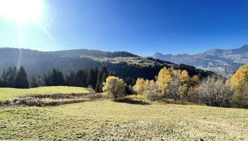 Résidence La Ferme Des Frasses - Mazot de charme MAE-3421 - Foto 4