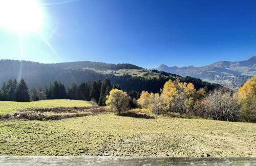 Résidence La Ferme Des Frasses - Mazot de charme MAE-3421 - Foto 4