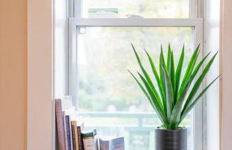 Adventurer's Home | Kingdom Trails | Swimming Hole - Foto 56